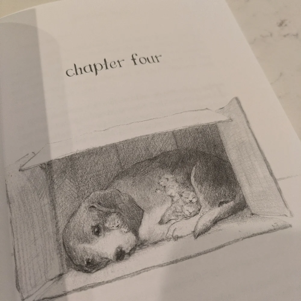 The Gentle Beagle Book